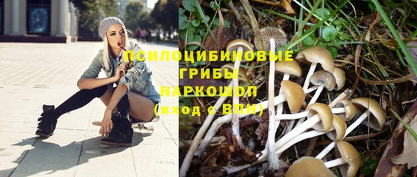 не бодяженный Волосово