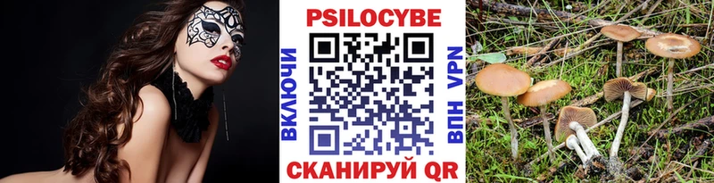 Купить  Кушва  Псилоцибиновые грибы мицелий 