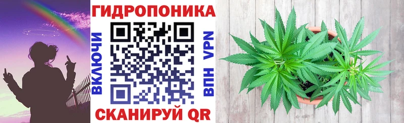 Купить закладки  Кушва  Бошки марихуана LSD WEED 